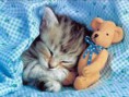 /album/fenykepgaleria/images-6-jpg/